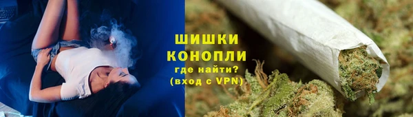 сатива Осташков