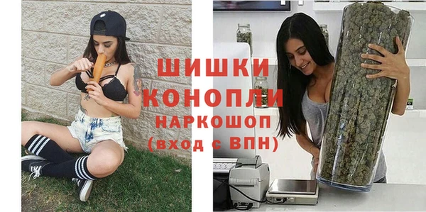 сатива Осташков