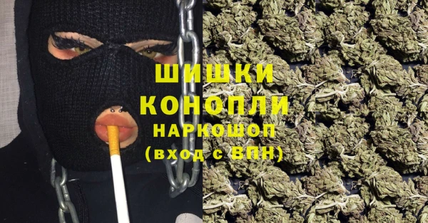 сатива Осташков