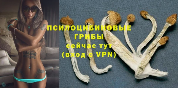 сатива Осташков