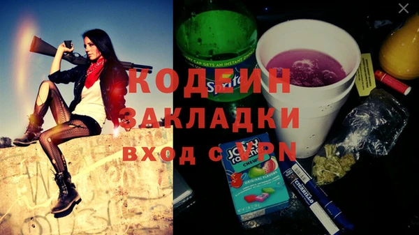 шишки Грязовец