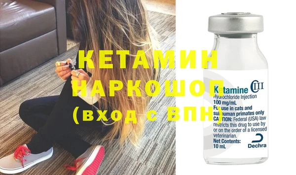 шишки Грязовец