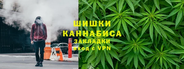 spice Осинники