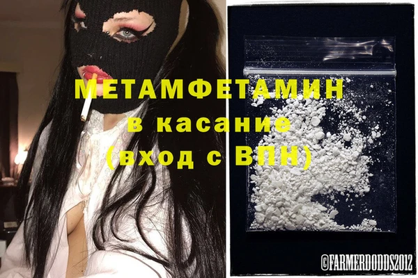 сатива Осташков