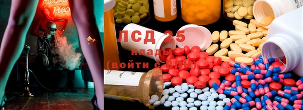 сатива Осташков